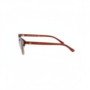 Unisex Classic Clubmaster Sunglasses 5